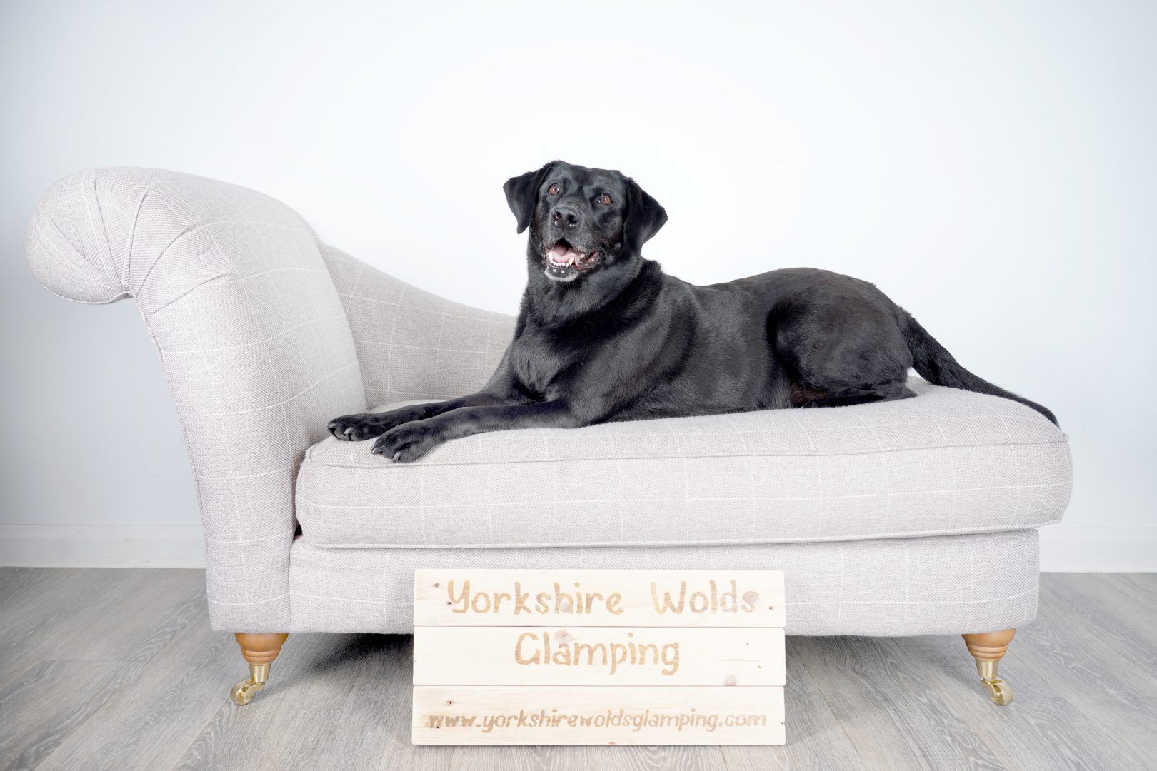 ‘Pawsitively perfect escape!’ – for dogs & dog lovers.  Our 2 night holiday stay where the dogs are the VIPs